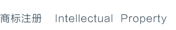 知识产权 Intellectual Property