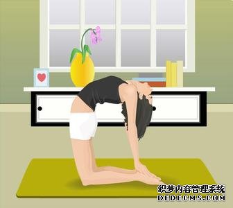 身体类