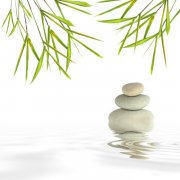 怎样给粮油公司取名