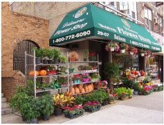 河北鲜花店起名小技巧
