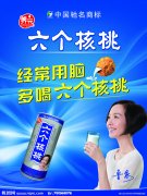 六个核桃品牌命名文化的另类演绎