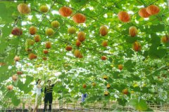 农业科技公司起名