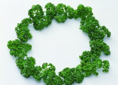 给蔬菜种植公司取名