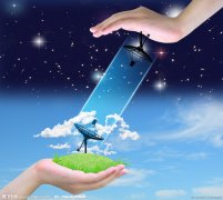 公司起名常见问题