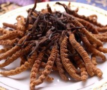 滋补品牌起名字