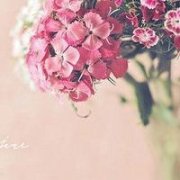 有创意的公司名字