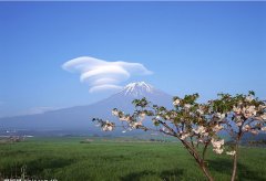 设计品牌起名