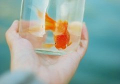 柴油发电机组产品命名方法