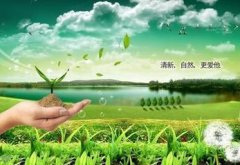 环保公司如何起名