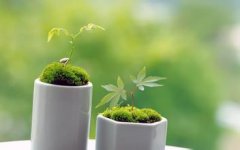 工业锅炉及配件公司取名方法