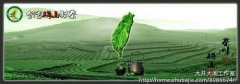 茶叶品牌起名