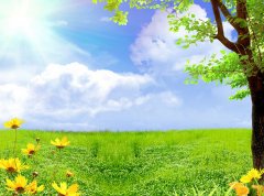 节电设备公司取名