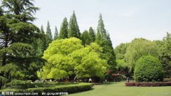 园林公司取名