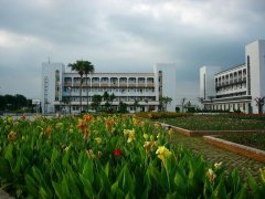 给实业公司起名