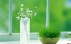 花卉绿植公司取名