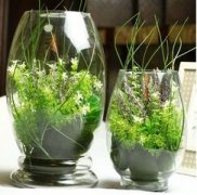 花卉绿植公司取名