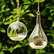 花卉绿植公司命名