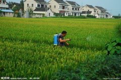 农药公司起名