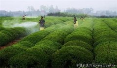 农药公司命名