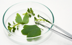 生物公司命名