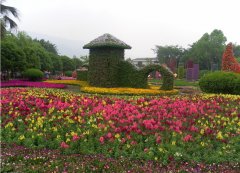 园艺公司起名
