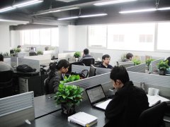 软件怎么起公司名称