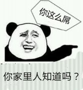网络流行语