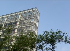 公司如何给取名字