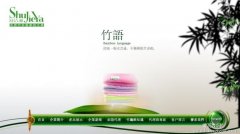 网站建设公司起名