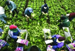 协作加工公司取名