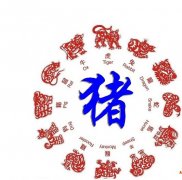 属猪的今年多大