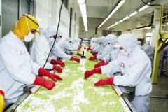 速冻食品加工厂起名