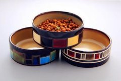 宠物粮食品牌起名
