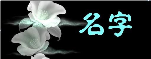 公司起名三个字