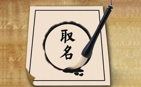 哪家公司起名好