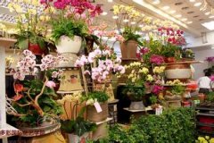 花店名字
