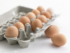 食品公司起名