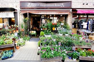 花店名字