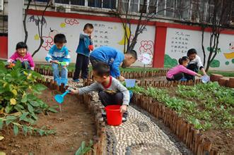 幼儿园种植区起名