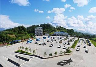 驾校起名