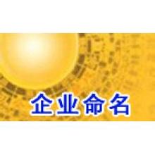免费公司起名 