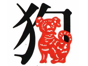 属狗的求财方法和事业选择