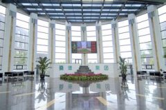 国际公司起名知识大全