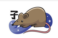 属鼠