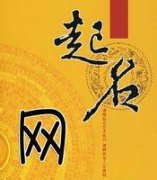 收费起名网