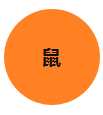 生肖鼠11月运程分析