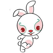 属兔的人2016年运势及破解