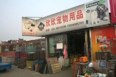 宠物用品店名字