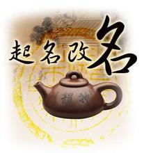 改名字需要什么手续