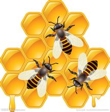 蜂蜜商标取名